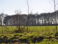 DSC_3492-r51.jpg