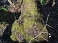 DSC_3497-r51.jpg