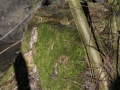 DSC_3498-r51.jpg