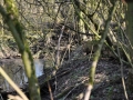 DSC_3503-r51.jpg