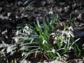 DSC_3506-r51.jpg