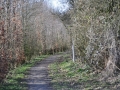 DSC_3516-r51.jpg