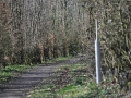 DSC_3517-r51.jpg