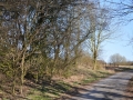 DSC_3533-r51.jpg
