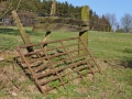 DSC_3539-r51.jpg